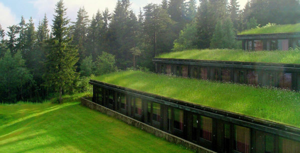  кровля - почва., газон и зелень на крыше